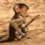 photo-3695.gif?_r=1418940949